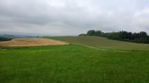  ein Blick zurck 